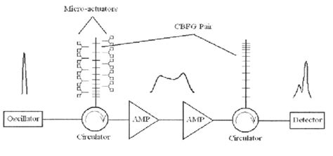 Figure From A Programmable On Chip Ultrashort Pulse Shaper Using A