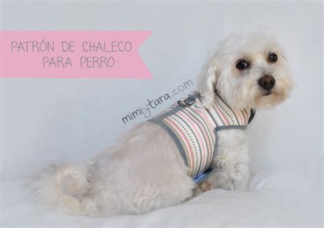 Patrón de Chaleco para Perro Talla M Mimi y Tara