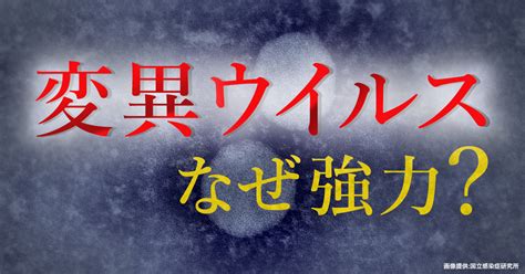 1からわかる！変異ウイルス どう防ぐ？デルタ株にワクチンは効く？ 新型コロナ｜nhk就活応援ニュースゼミ