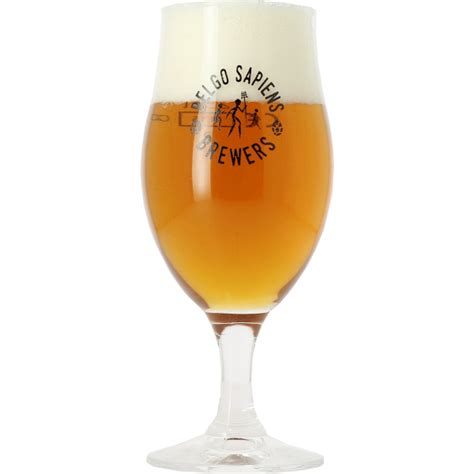 Verre à bière BELGO SAPIENS BREWERS 25cl Verres à bière