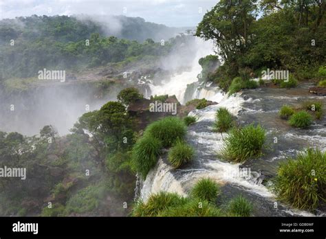 Parque Nacional Do Iguazu Argentina Fotos Und Bildmaterial In Hoher