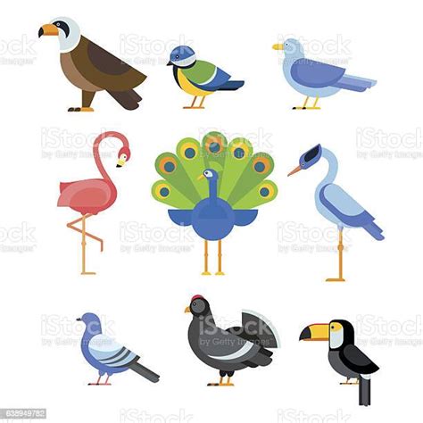 Ensemble Doiseaux Isolé Vector Illustration Vecteurs Libres De Droits