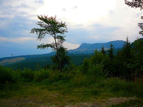 pasul gutai din baia sprie