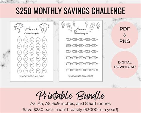 250 Dollar Monthly Savings Challenge Printable, Savings Tracker, PDF