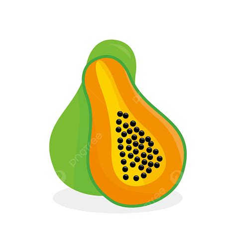 Papaya Vector Illustration Isolated On White Background Papaya Fruit