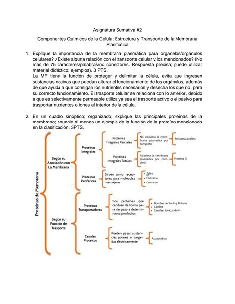 Solution Componentes Qu Micos De La C Lula Estructura Y Transporte De