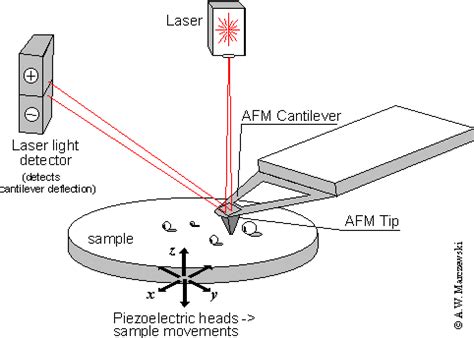 AWM's AFM page - AFM principle