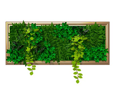 Wall Plant Plants Plant Decoration Plant Png Transparent Clipart