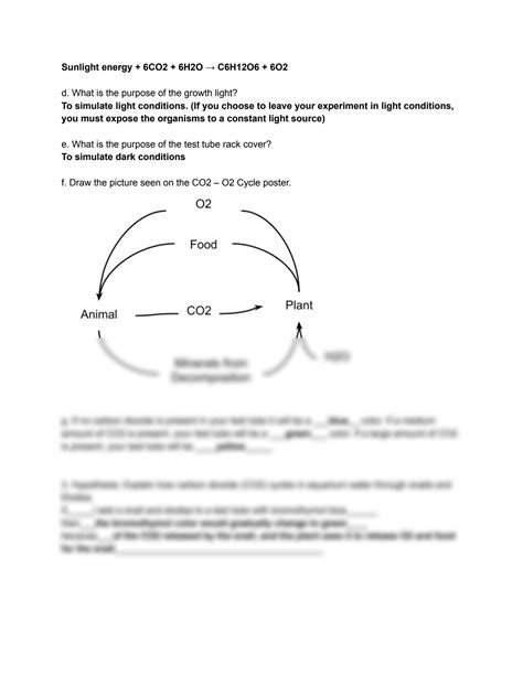 SOLUTION: cellular respiration virtual lab - Studypool