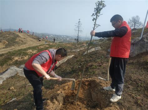 春光好时节 植树添新绿图片新闻冷水滩区审计局冷水滩人民政府