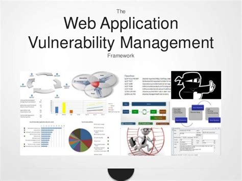 Web Application Security Vulnerability Management Framework