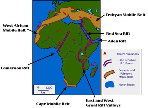 The Tectonic History of Africa