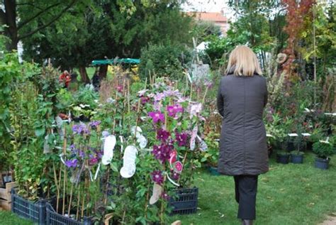 FOIRE AUX PLANTES ET DES FLEURS à Contigny Le guide des hotels