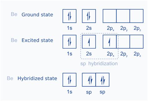 Hybridization Definition Features Types