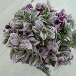 Главная - Land Flowers