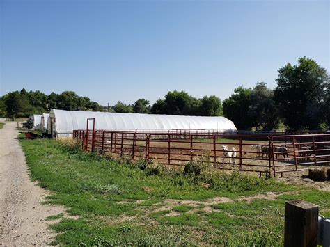 Aspen Moon Farm Specializes in Tomatoes, Now in Season in Colorado