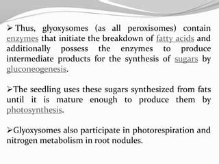 Glyoxysomes | PPT