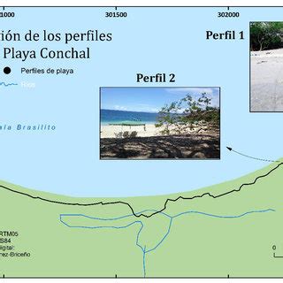 Causas De La Erosion Costera Acido