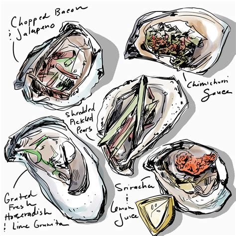 oyster illustration ideas   check