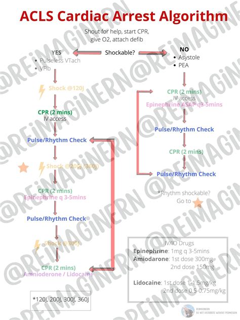 Acls Cardiac Arrest Tachycardia Bradycardia Algorithms Etsy