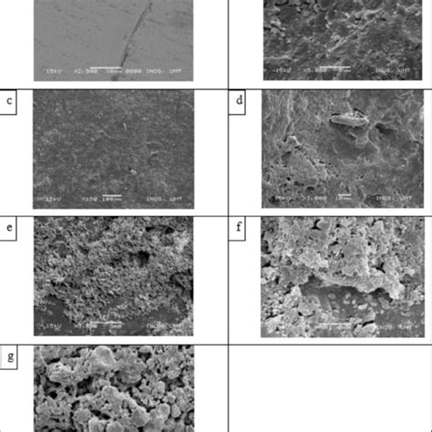 Surface Analyses By Sem A Uncoated Mild Steel Surface B Without