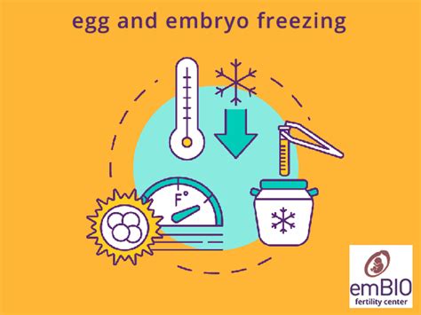 Egg Freezing Oocyte Vitrification Embryo Freezing Embio Ivf