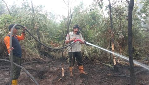 Karhutla Di Abumbun Jaya Puluhan Hektar Hangus Jejakbanua