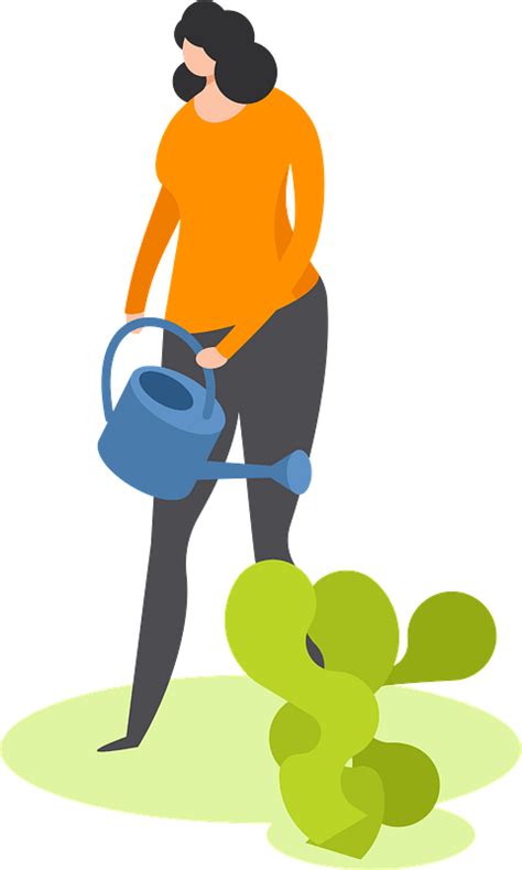 Watering Plantss Clip Art Library