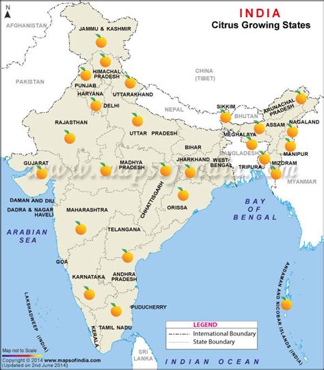 Map Of Citrus Fruits Producing States In India Citrus Fruits Producing States