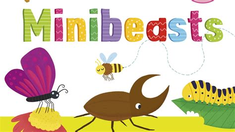 Toddlers World Minibeasts A Little Book Of Minibeasts By Pat A Cake