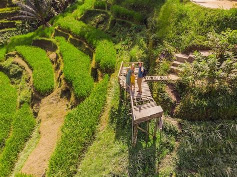 Premium Photo Rice Terrace Aerial Shot Image Of Beautiful Terrace Rice Field