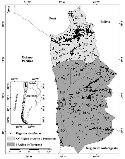 Estado de conservación de la flora nativa de las regiones de Arica