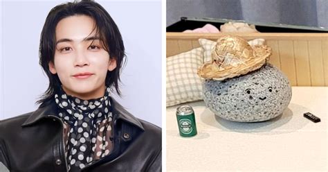 Seventeen S Jeonghan Shuts Down A Rumor About His Pet Rock Koreaboo