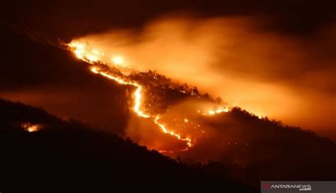 Hutan Gunung Lawu Terbakar Jalur Pendakian Ditutup GenPI Co