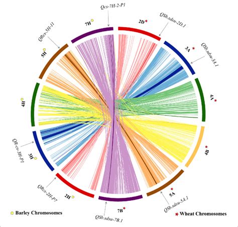 Comparative Analysis Showing Synteny In Spot Blotch Resistance Qtls