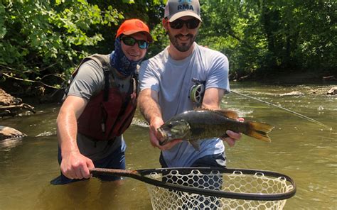 Summer Smallmouth Bass Fishing in Virginia | Virginia DWR