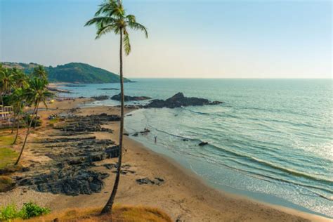 Coco Beach North Goa 2020 Photos And Reviews