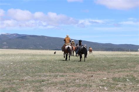 Big Snowy Mountains Wildlife Management Area opens | | lewistownnews.com