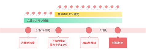 凍結・胚移植 不妊治療 京野アートクリニック高輪（東京 港区 品川）