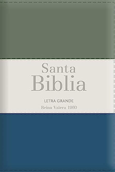 Biblia Rvr Letra Grande Tama O Manual Tricolor Gris Crema