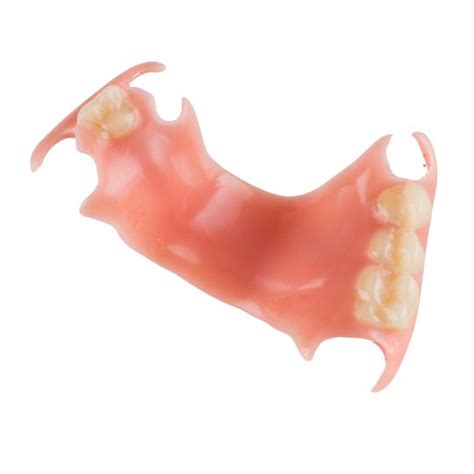 Dentures and Partial Dentures - Next Day Dental Supplies - Dynamic ...