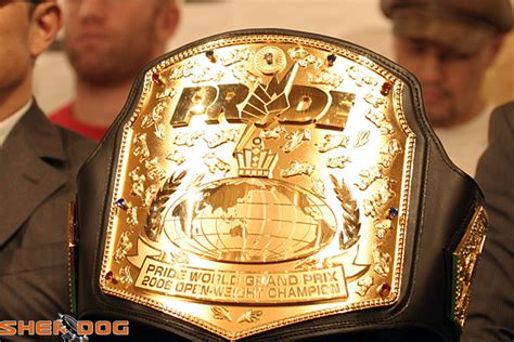 Sherdog’s Top 10: Pride Knockouts - Top 10