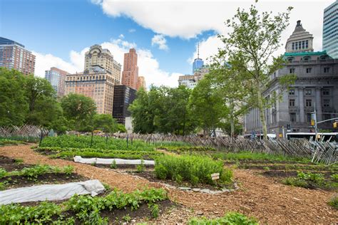 The benefits of urban agriculture may be greater than we thought ...