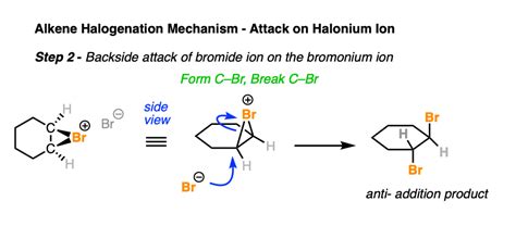 Bromination of Alkenes - The Mechanism – Master Organic Chemistry