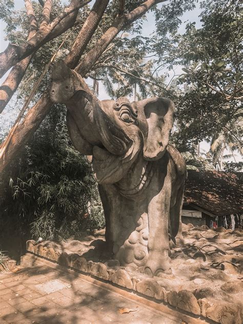 Bucket List Experiences Archives • Rosy Melissa