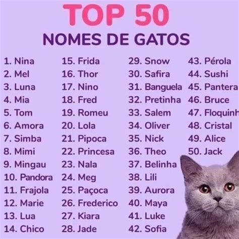 The 100 most popular cat names of all time – Artofit