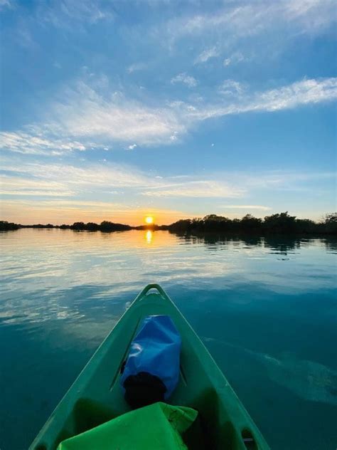 Sunset Kayaking Experience - Mangrove Adventures