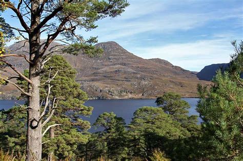 Loch Maree Wester Ross - Scotland Info Guide