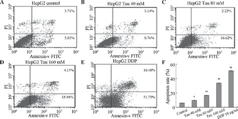 Figure 2 From Effect Of Taurine On The Proliferation And Apoptosis Of