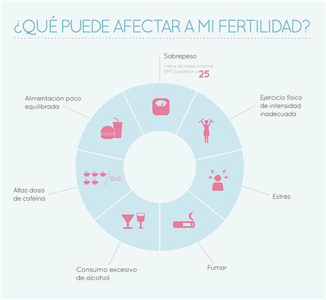 Principales Factores Que Afectan La Fertilidad De La Mujer Fertilit